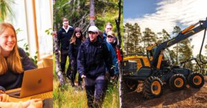 Ett kollage med bilder på skoglig utbildning: en elev som pluggar, elever som går i skogen, en skogsmaskin