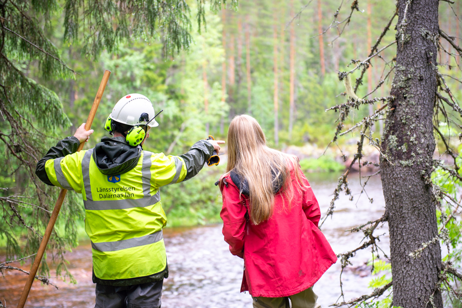 En person i varselkläder från Länsstyrelsen Dalarna och en ungdom tittar på ett återställt vattendrag.