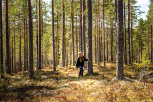 En elev på Skogsgymnasiet i Älvdalen går bland trän i skogen