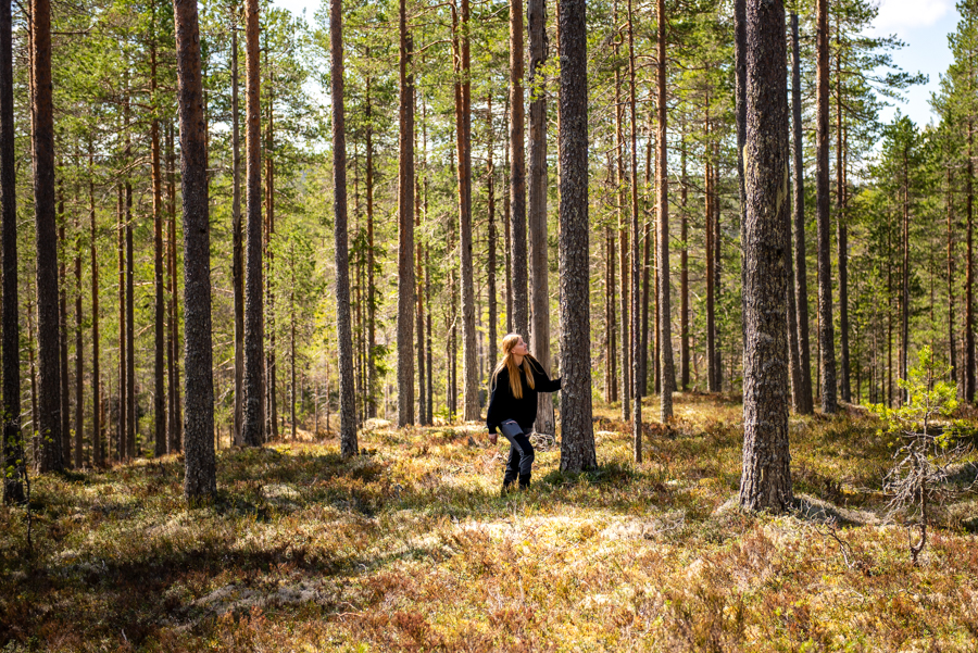 En elev på Skogsgymnasiet i Älvdalen går bland trän i skogen